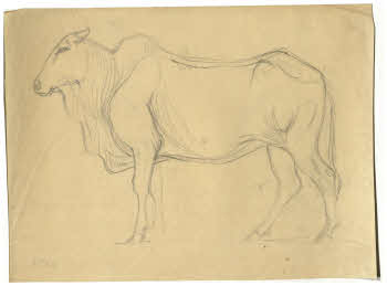 Visualizza l'immagine "FD D 173"